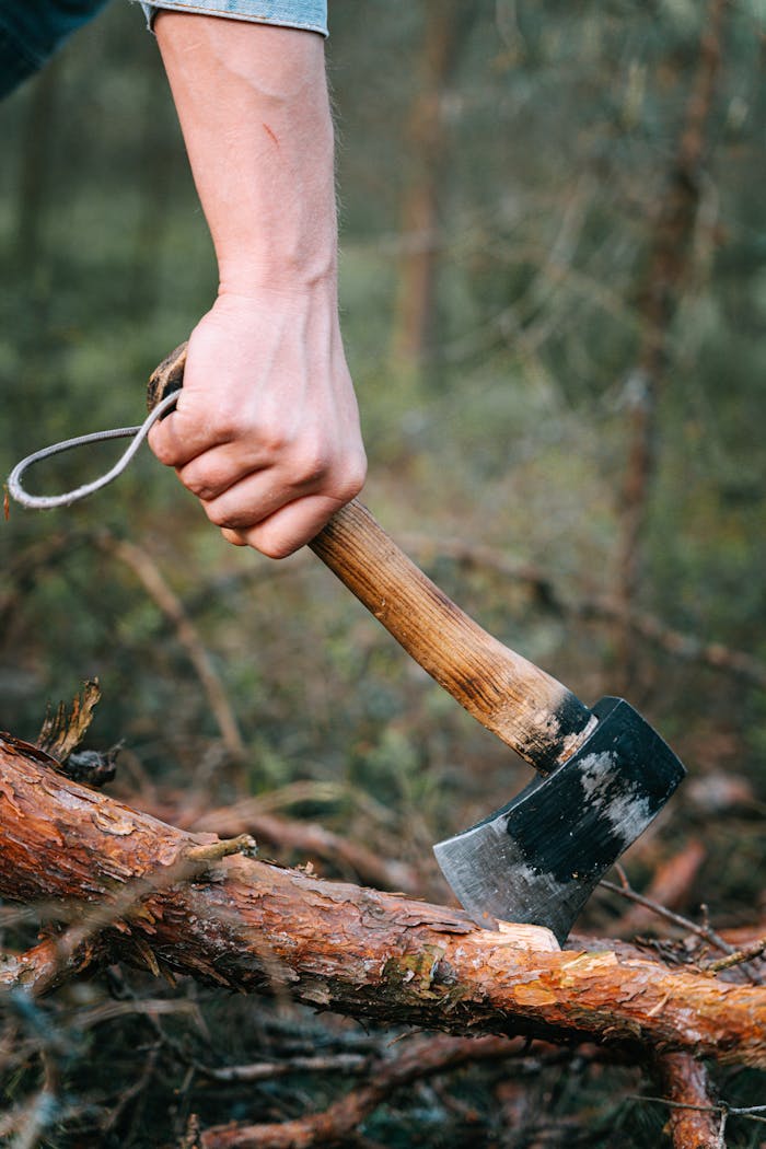 A person chopping wood outdoors using an axe, capturing the essence of manual labor and forestry.